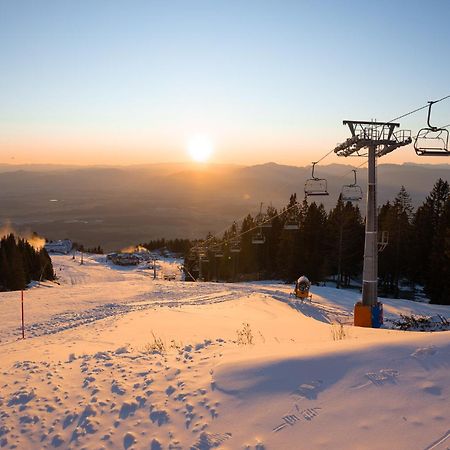 Отель Hisa Ancka, Sencur - 3 Min To The Airport Экстерьер фото